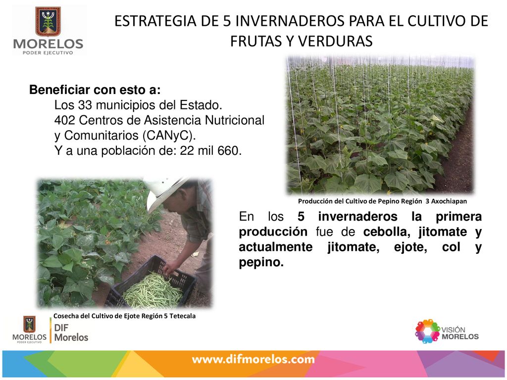 ESTRATEGIA DE 5 INVERNADEROS PARA EL CULTIVO DE FRUTAS Y VERDURAS