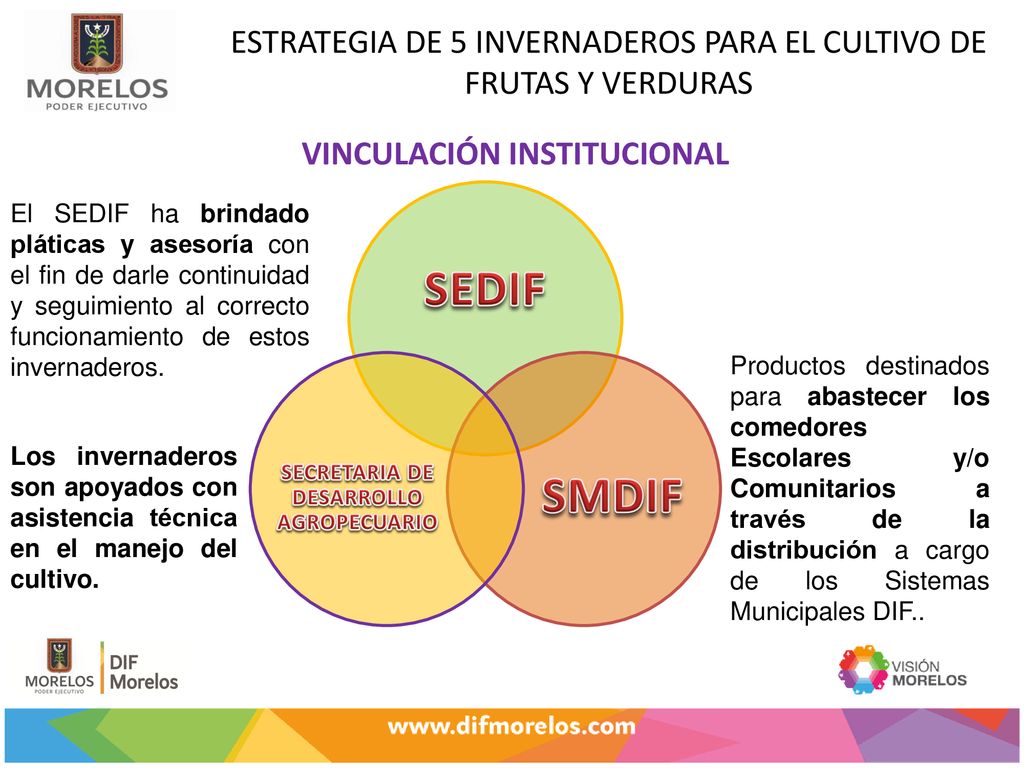 ESTRATEGIA DE 5 INVERNADEROS PARA EL CULTIVO DE FRUTAS Y VERDURAS