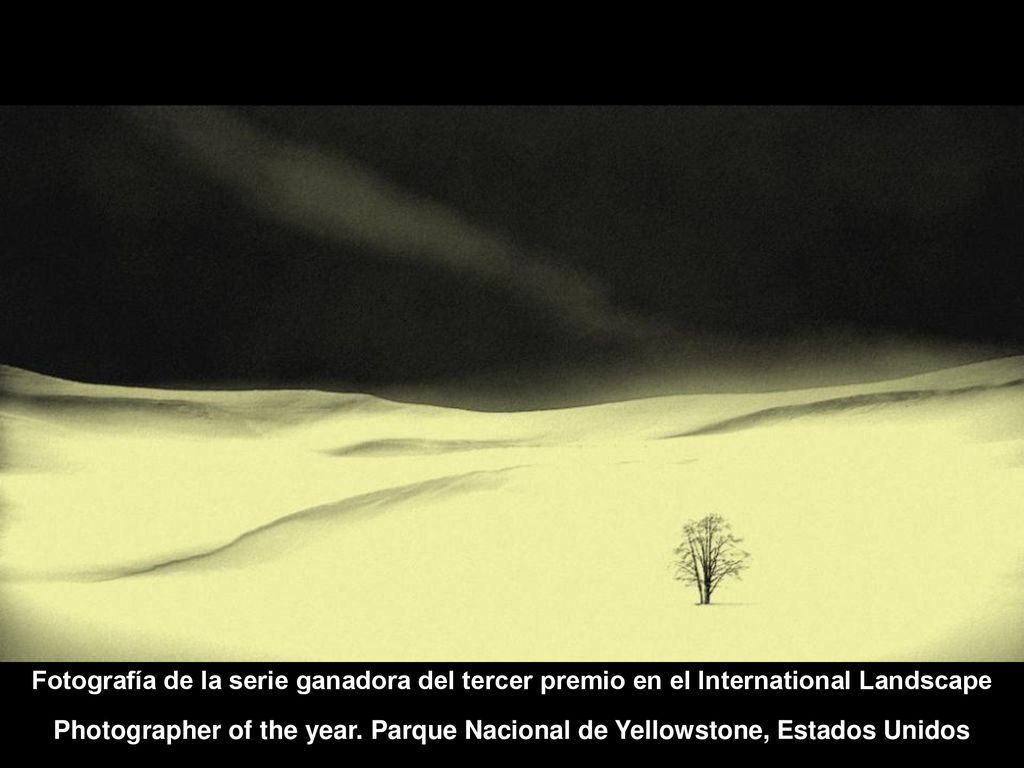 Fotografía de la serie ganadora del tercer premio en el International Landscape Photographer of the year.