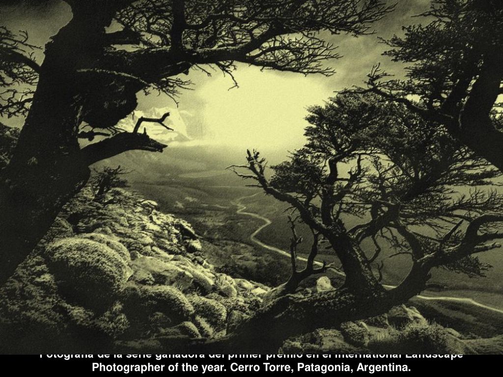 Fotografía de la serie ganadora del primer premio en el International Landscape Photographer of the year.