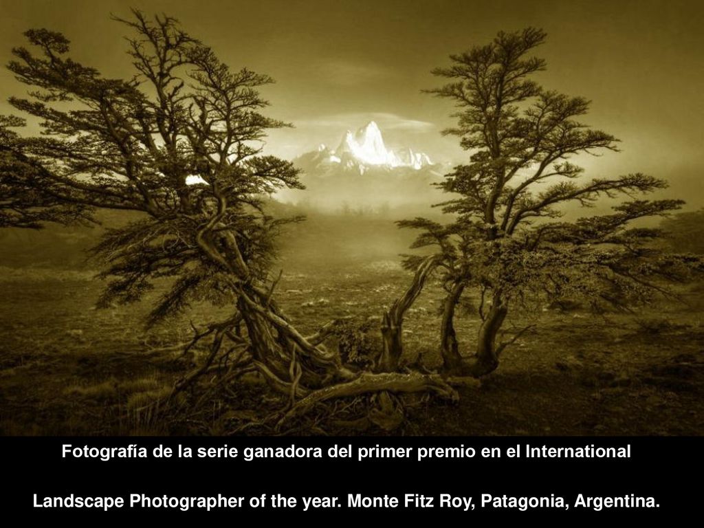 Fotografía de la serie ganadora del primer premio en el International Landscape Photographer of the year.