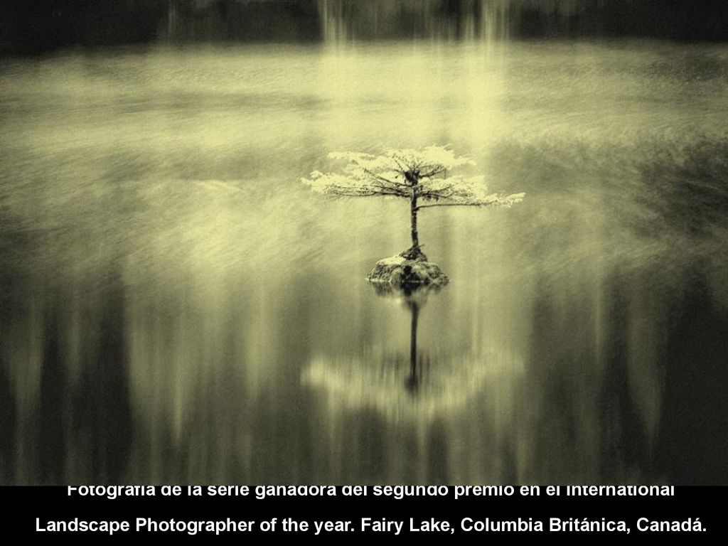 Fotografía de la serie ganadora del segundo premio en el International Landscape Photographer of the year.