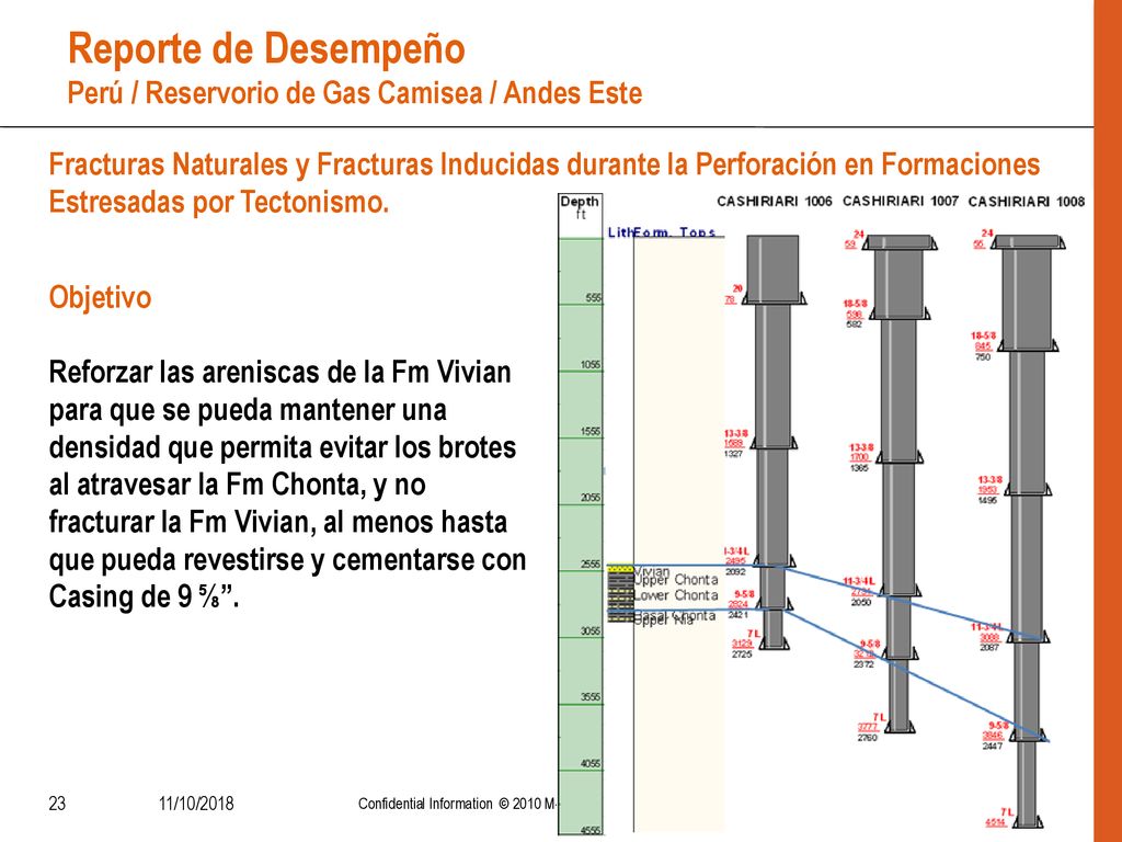 Reporte de Desempeño Perú / Reservorio de Gas Camisea / Andes Este