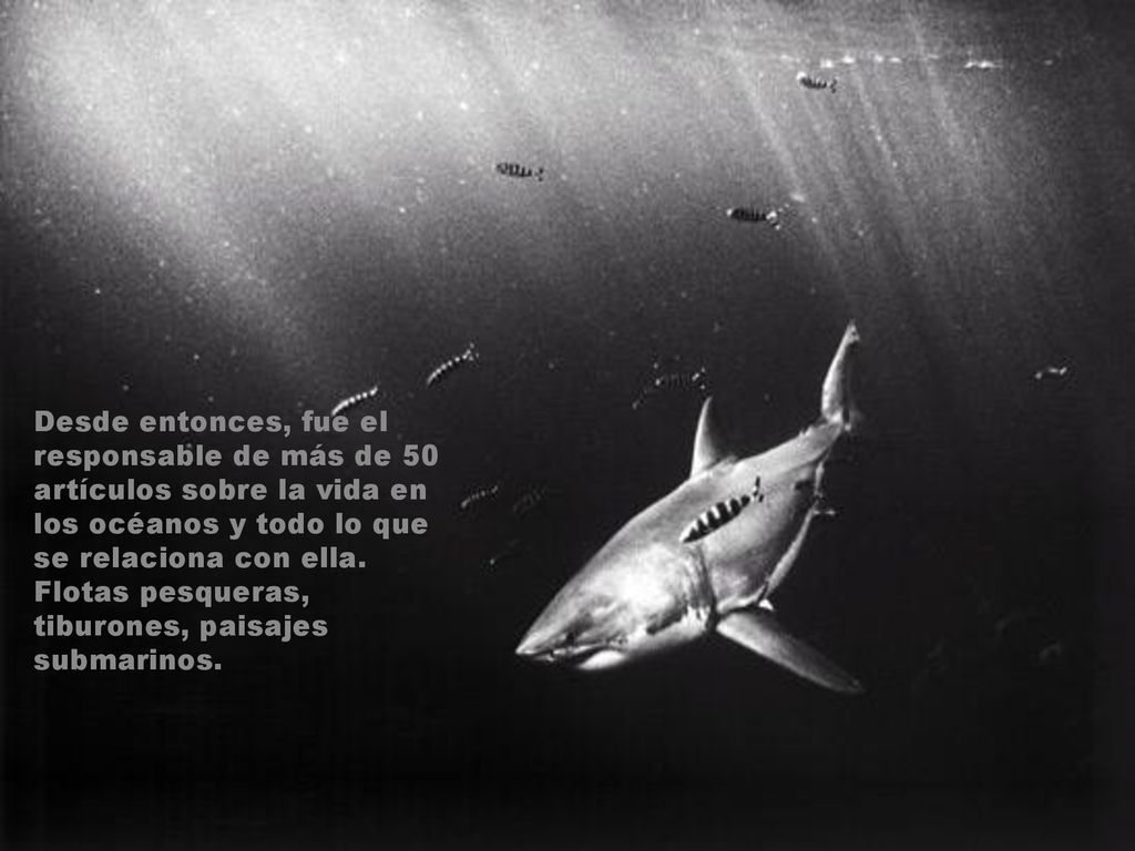 Desde entonces, fue el responsable de más de 50 artículos sobre la vida en los océanos y todo lo que se relaciona con ella.