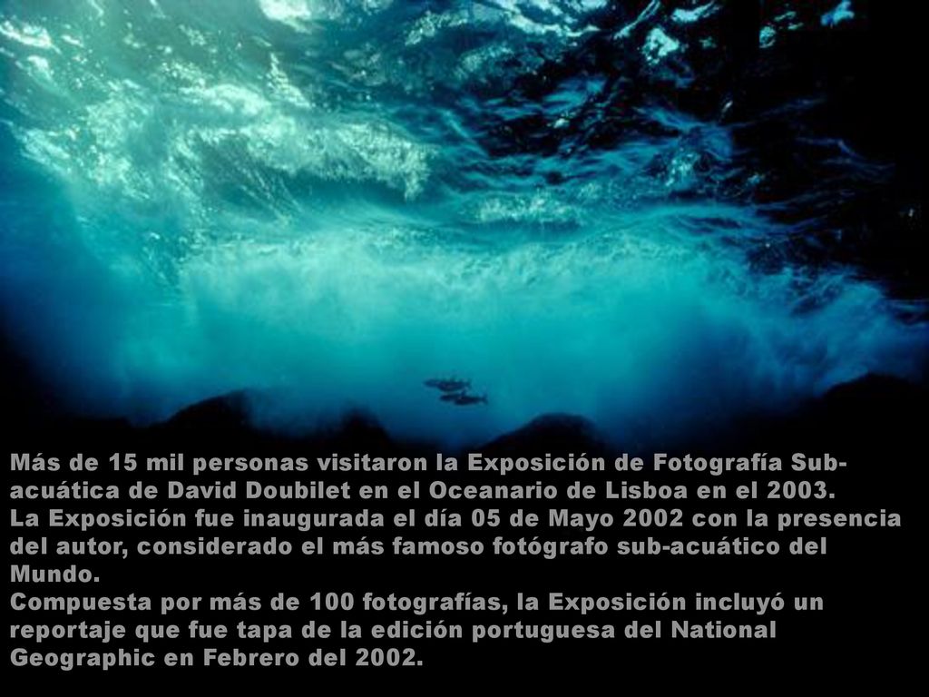 Más de 15 mil personas visitaron la Exposición de Fotografía Sub-acuática de David Doubilet en el Oceanario de Lisboa en el 2003.