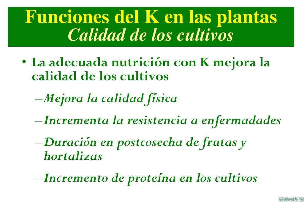 Funciones del K en las plantas Calidad de los cultivos