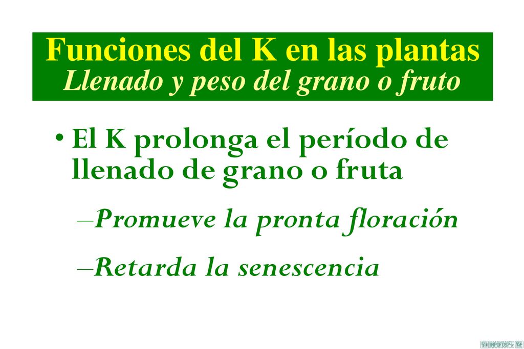 Funciones del K en las plantas Llenado y peso del grano o fruto