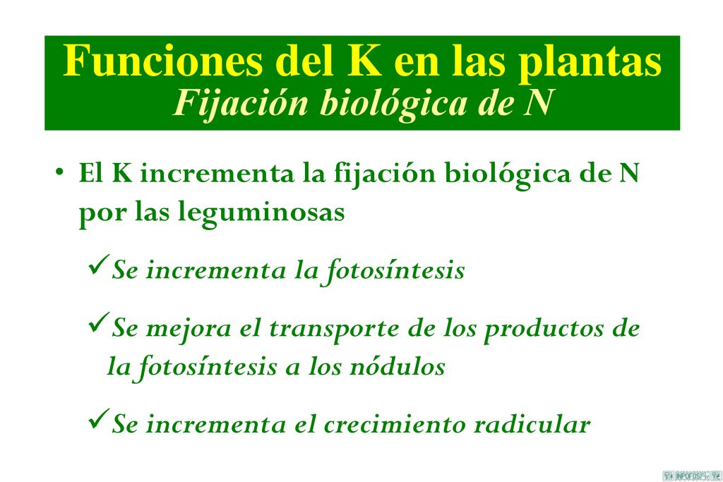 Funciones del K en las plantas Fijación biológica de N
