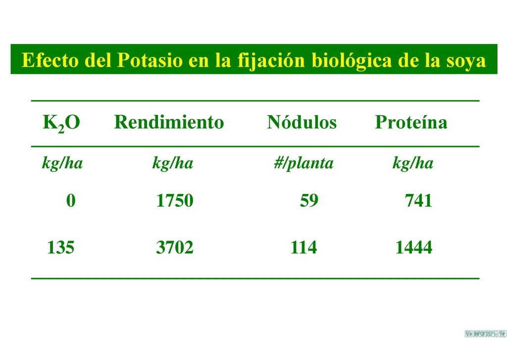 Efecto del Potasio en la fijación biológica de la soya
