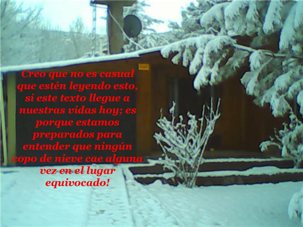 Creo que no es casual que estén leyendo esto, si este texto llegue a nuestras vidas hoy; es porque estamos preparados para entender que ningún copo de nieve cae alguna vez en el lugar equivocado!