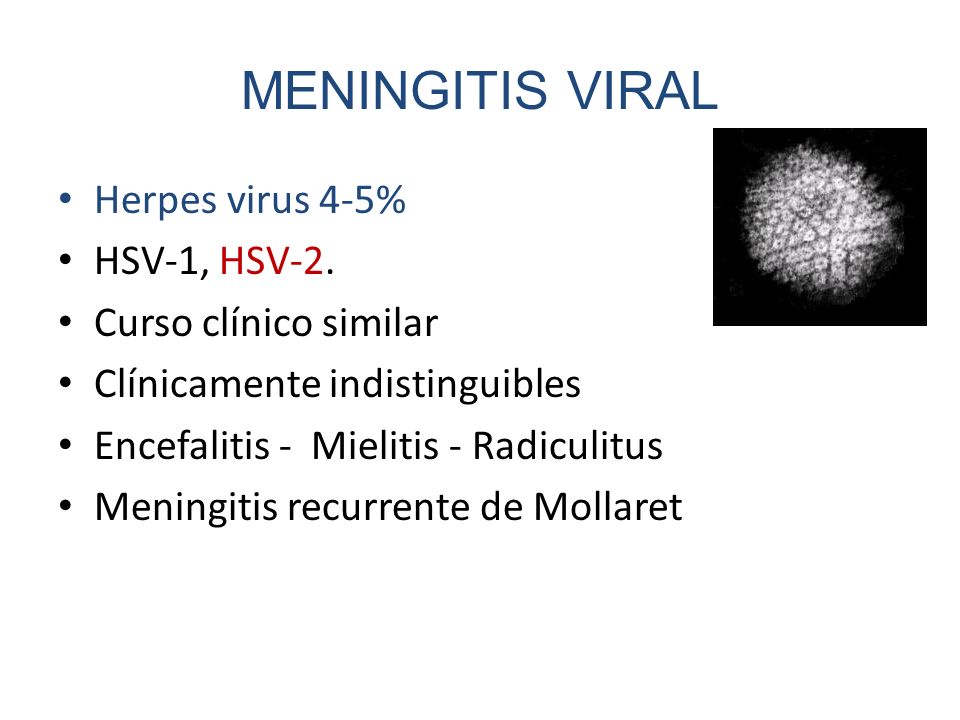 MENINGITIS VIRAL Herpes virus 4-5% HSV-1, HSV-2. Curso clínico similar