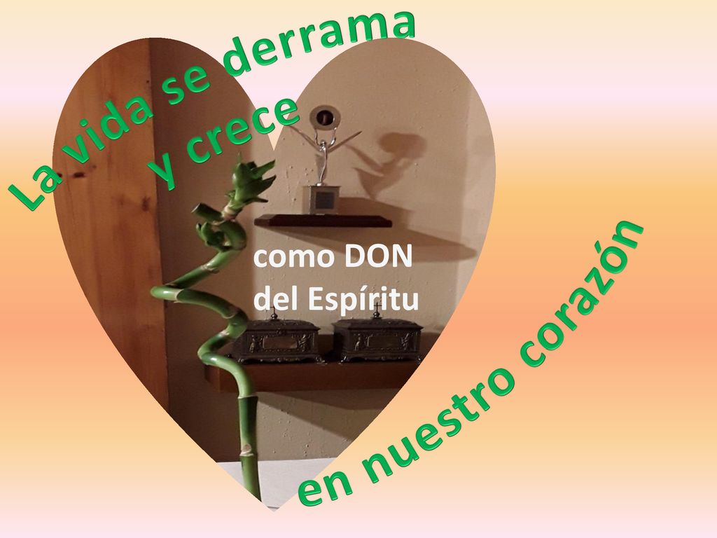 La vida se derrama y crece en nuestro corazón