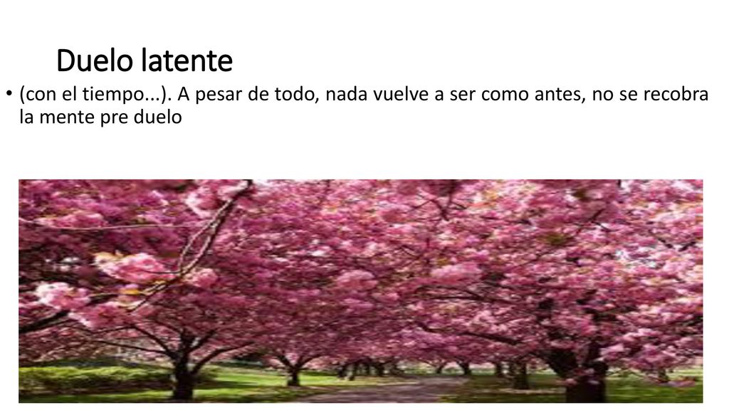 Duelo latente (con el tiempo...). A pesar de todo, nada vuelve a ser como antes, no se recobra la mente pre duelo.