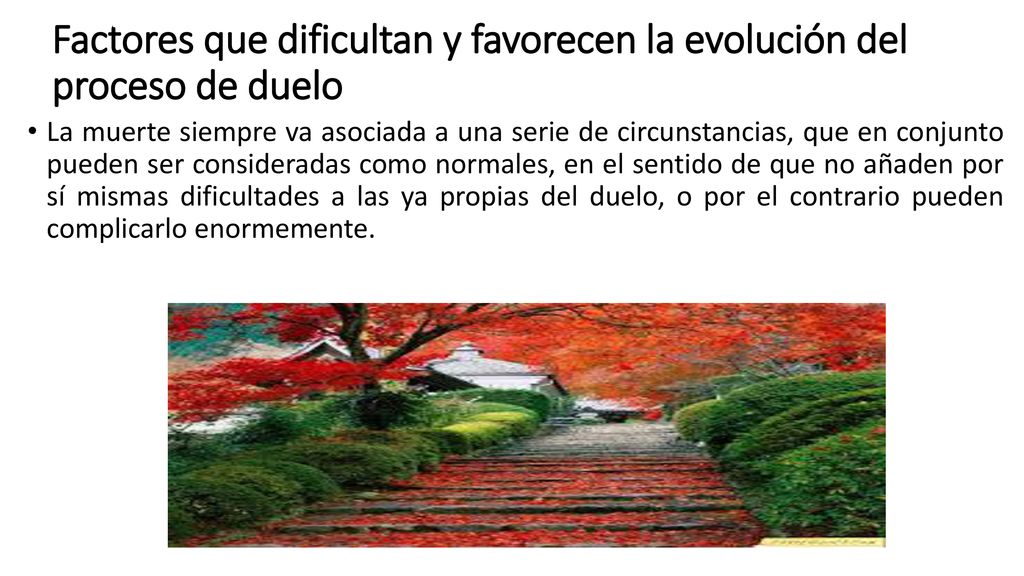 Factores que dificultan y favorecen la evolución del proceso de duelo