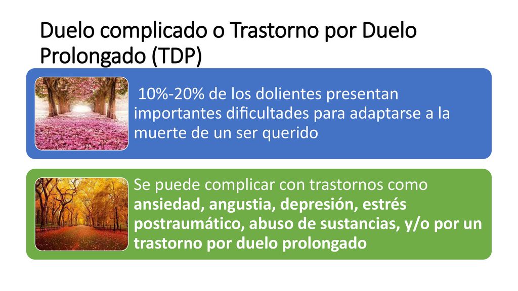 Duelo complicado o Trastorno por Duelo Prolongado (TDP)