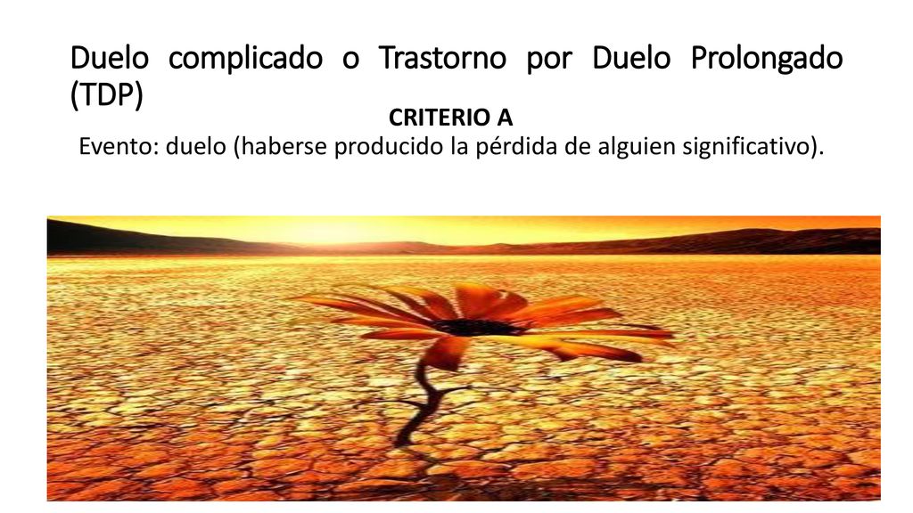Duelo complicado o Trastorno por Duelo Prolongado (TDP)