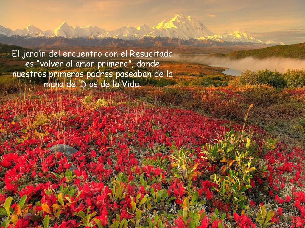 El jardín del encuentro con el Resucitado es volver al amor primero , donde nuestros primeros padres paseaban de la mano del Dios de la Vida.