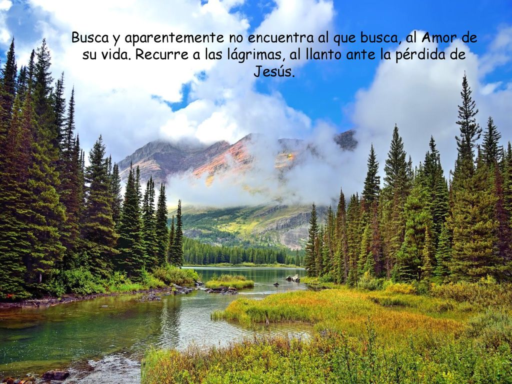 Busca y aparentemente no encuentra al que busca, al Amor de su vida