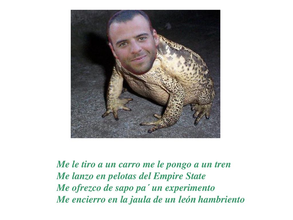 Me le tiro a un carro me le pongo a un tren Me lanzo en pelotas del Empire State Me ofrezco de sapo pa´ un experimento Me encierro en la jaula de un león hambriento