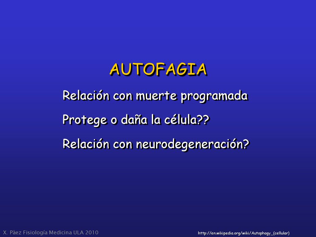 AUTOFAGIA Relación con muerte programada Protege o daña la célula