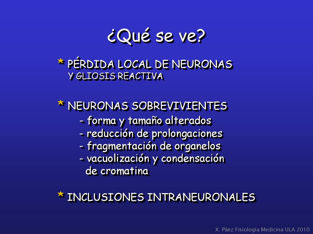 ¿Qué se ve * PÉRDIDA LOCAL DE NEURONAS * NEURONAS SOBREVIVIENTES