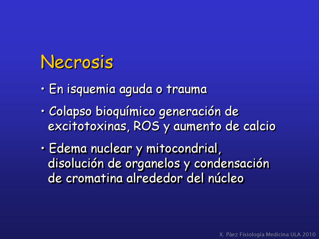 Necrosis En isquemia aguda o trauma Colapso bioquímico generación de