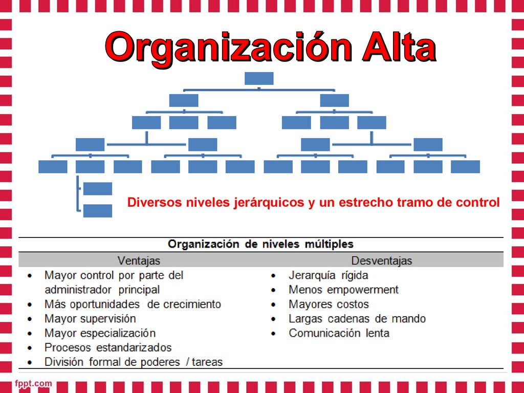 Organización Alta Diversos niveles jerárquicos y un estrecho tramo de control