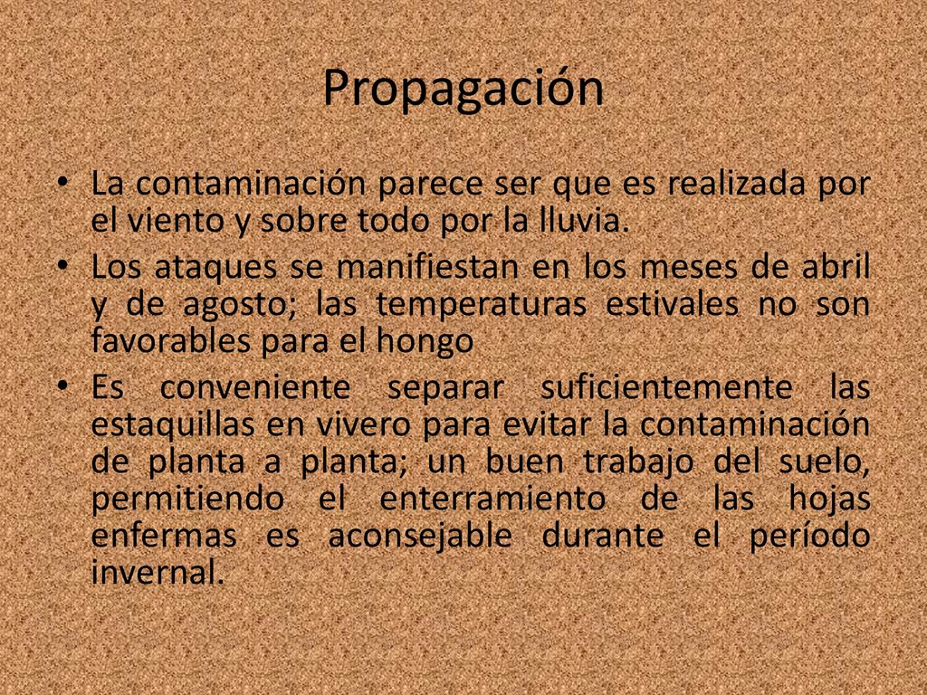 Propagación La contaminación parece ser que es realizada por el viento y sobre todo por la lluvia.