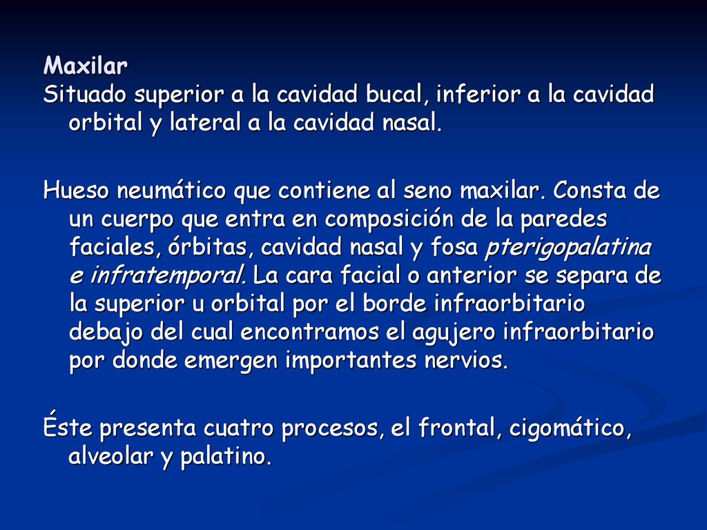 Maxilar Situado superior a la cavidad bucal, inferior a la cavidad orbital y lateral a la cavidad nasal.