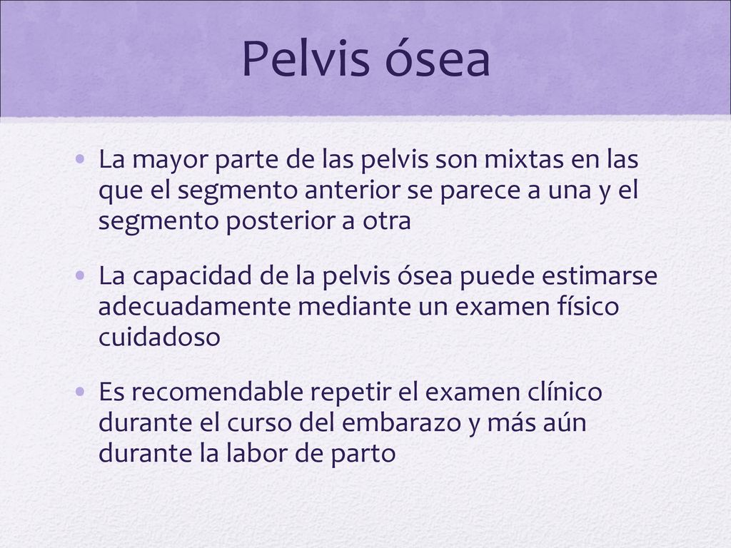 Pelvis ósea La mayor parte de las pelvis son mixtas en las que el segmento anterior se parece a una y el segmento posterior a otra.
