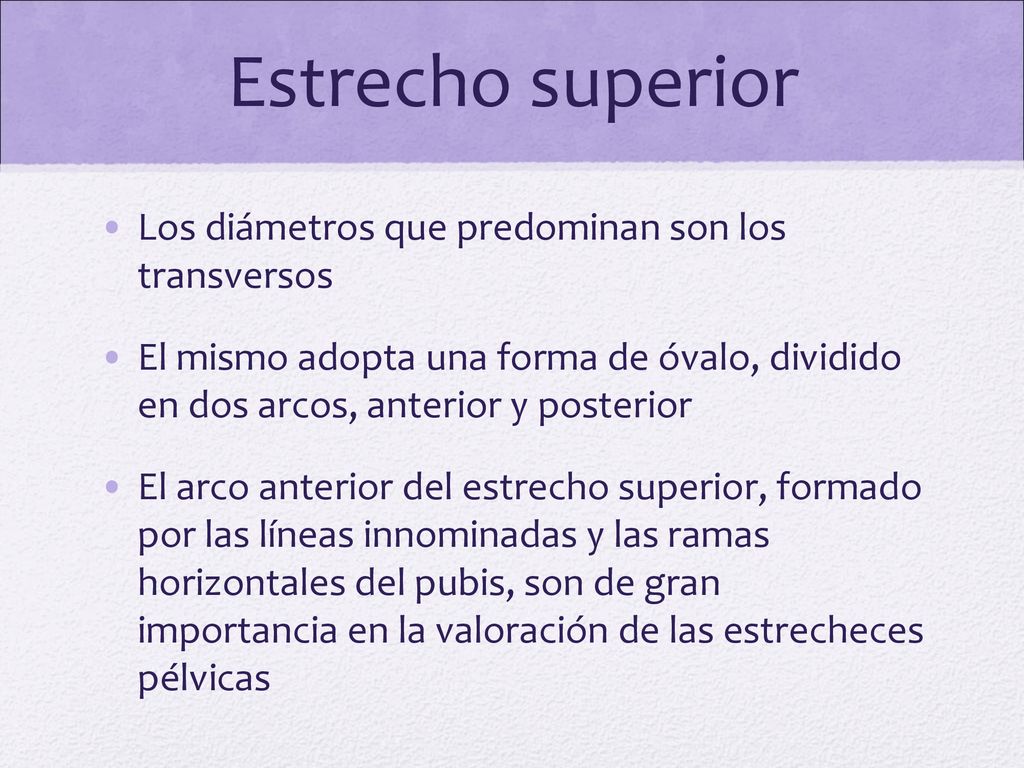 Estrecho superior Los diámetros que predominan son los transversos