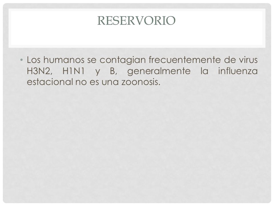 RESERVORIO Los humanos se contagian frecuentemente de virus H3N2, H1N1 y B, generalmente la influenza estacional no es una zoonosis.