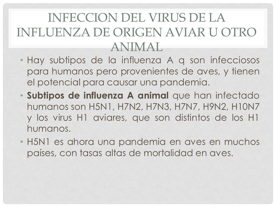 INFECCION DEL VIRUS DE LA INFLUENZA DE ORIGEN AVIAR U OTRO ANIMAL