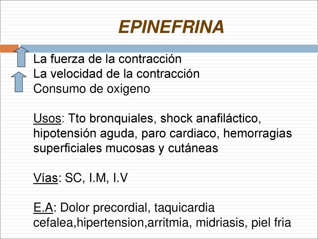 EPINEFRINA La fuerza de la contracción La velocidad de la contracción