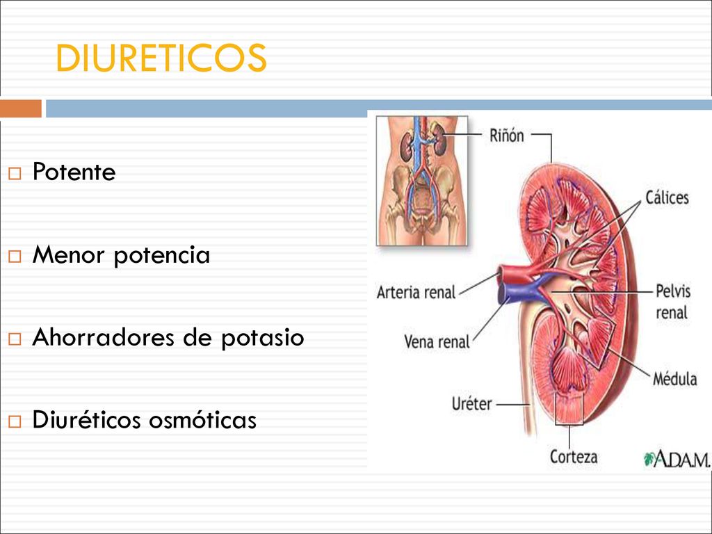 DIURETICOS Potente Menor potencia Ahorradores de potasio