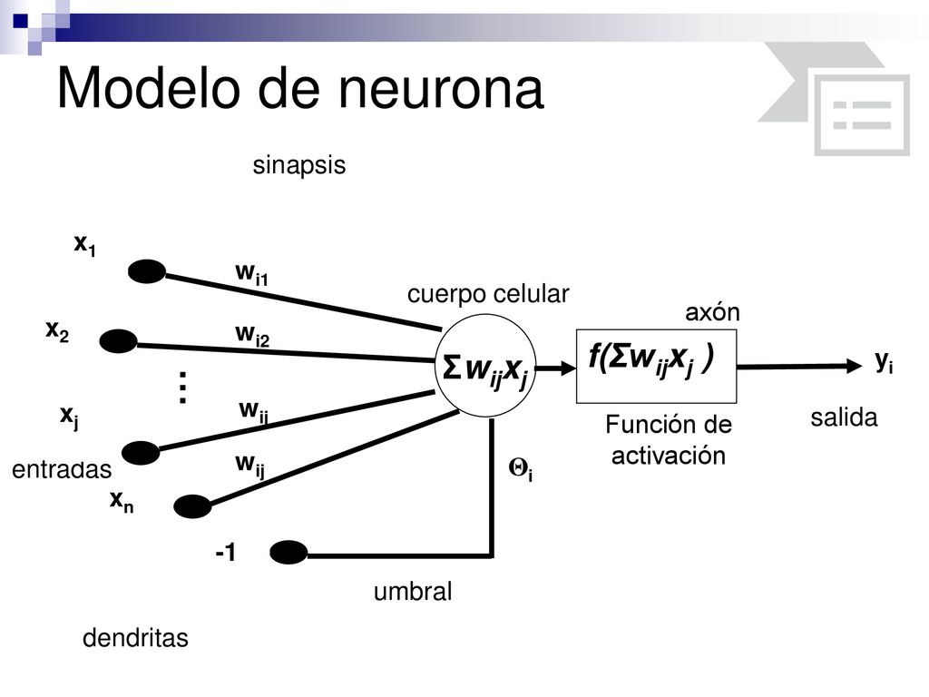 Modelo de neurona . f(Σwijxj ) Σwijxj sinapsis x1 wi1 cuerpo celular