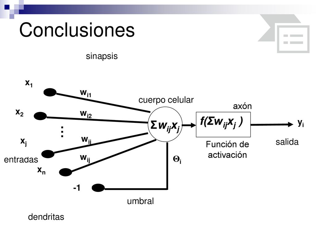 Conclusiones . f(Σwijxj ) Σwijxj sinapsis x1 wi1 cuerpo celular axón