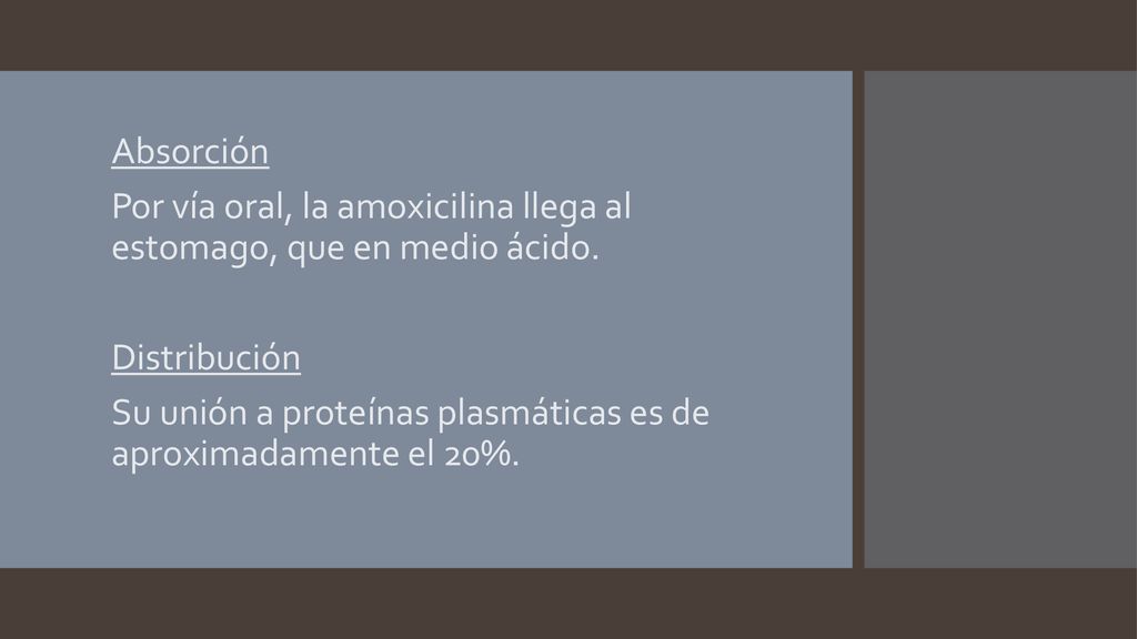 Absorción Por vía oral, la amoxicilina llega al estomago, que en medio ácido. Distribución.