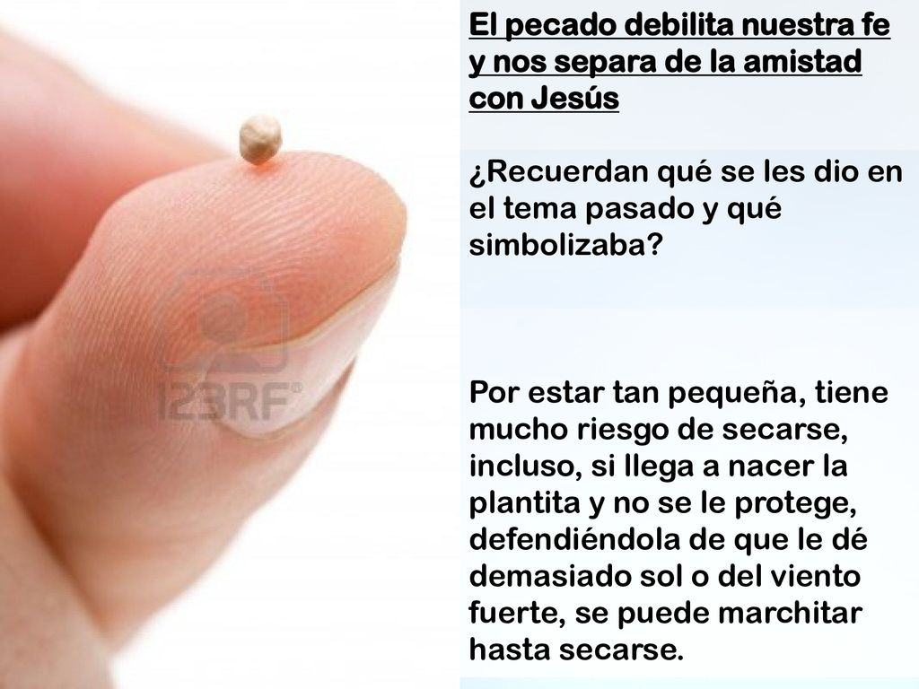 El pecado debilita nuestra fe y nos separa de la amistad con Jesús