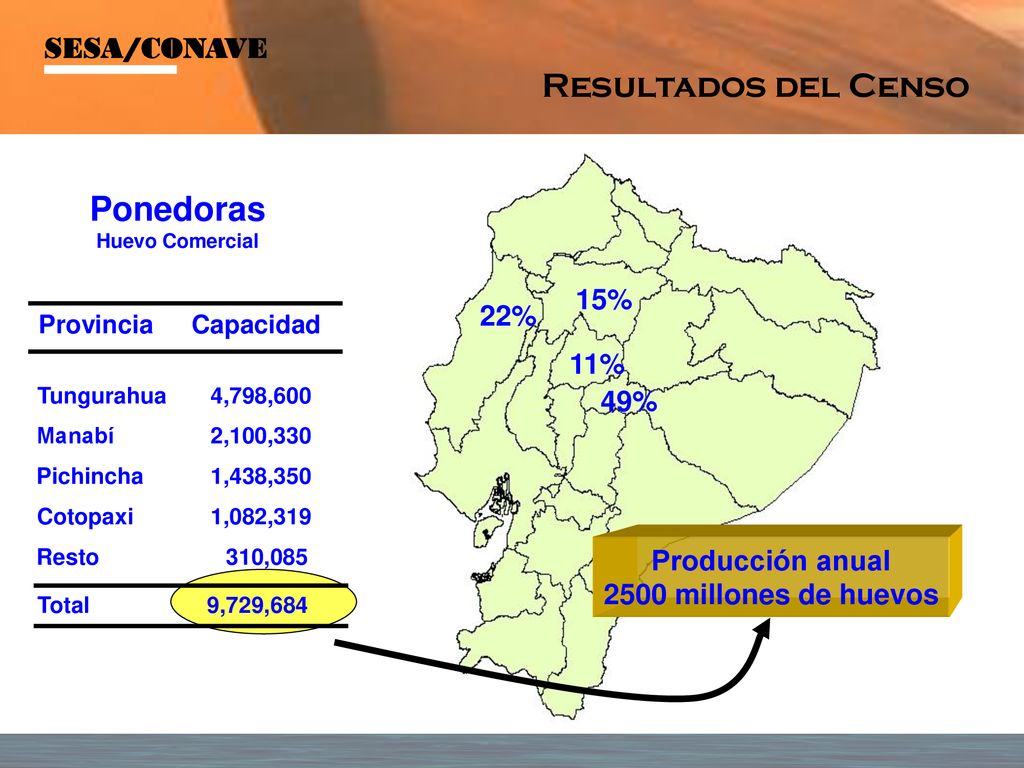Resultados del Censo Ponedoras SESA/CONAVE 15% 22% 11% 49%