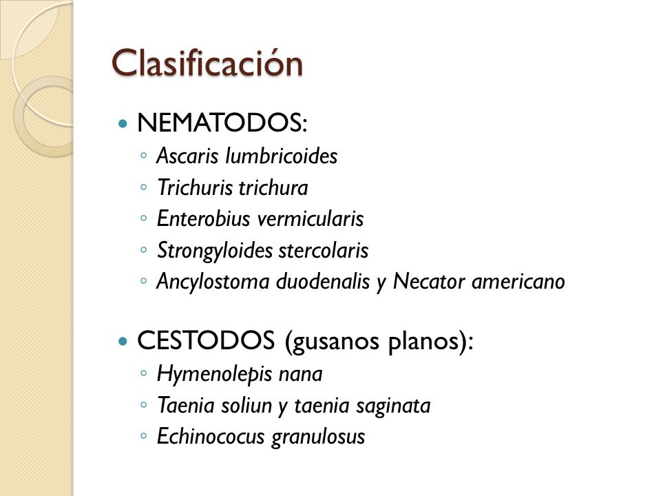 Clasificación NEMATODOS: CESTODOS (gusanos planos):