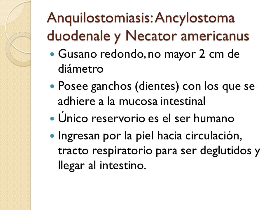 Anquilostomiasis: Ancylostoma duodenale y Necator americanus