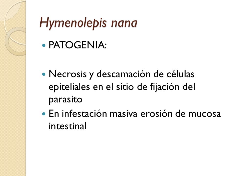 Hymenolepis nana PATOGENIA: