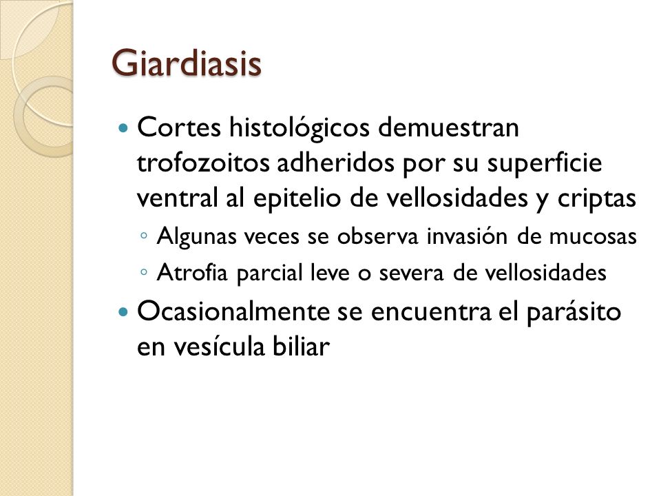 Giardiasis Cortes histológicos demuestran trofozoitos adheridos por su superficie ventral al epitelio de vellosidades y criptas.
