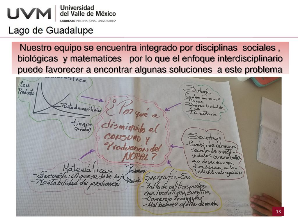 Nuestro equipo se encuentra integrado por disciplinas sociales , biológicas y matematices por lo que el enfoque interdisciplinario puede favorecer a encontrar algunas soluciones a este problema
