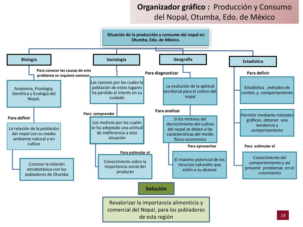 Para conocer las causas de este problema se requiere conocer:
