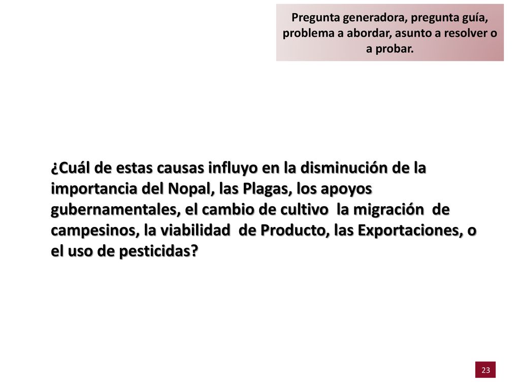 Pregunta generadora, pregunta guía, problema a abordar, asunto a resolver o a probar.