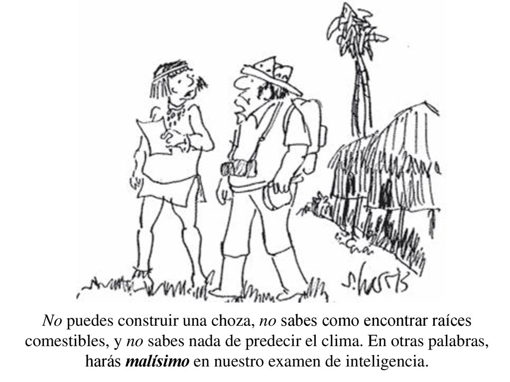 Algunos son expertos en algunas cosas y novatos en otras cosas.