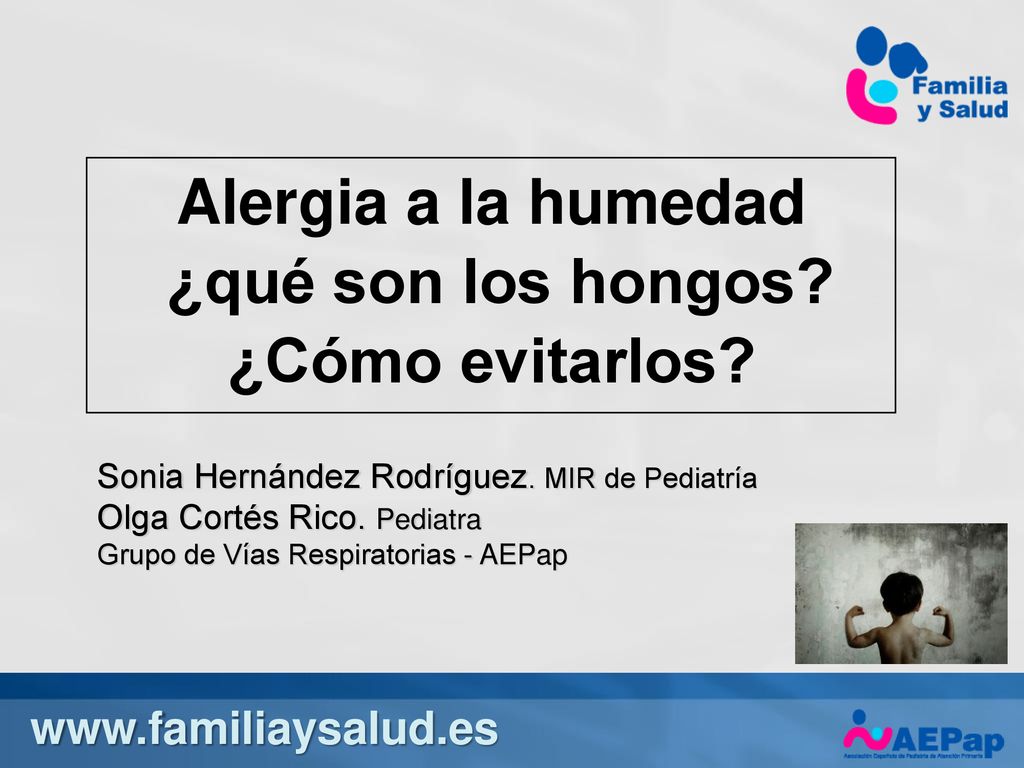 Alergia a la humedad ¿qué son los hongos ¿Cómo evitarlos