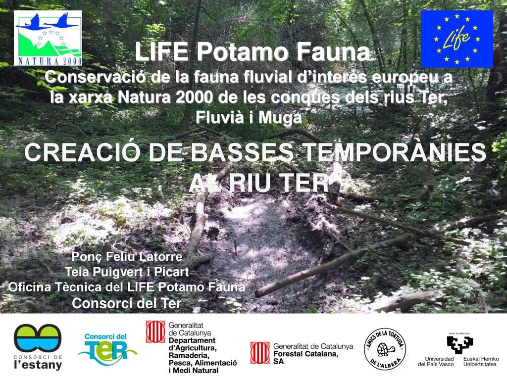 CREACIÓ DE BASSES TEMPORÀNIES Oficina Tècnica del LIFE Potamo Fauna
